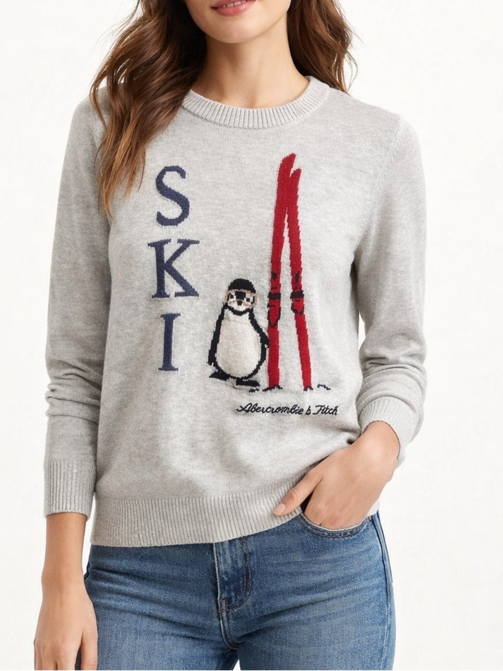Abercrombie & Fitch Ski Penguin Sweater Gray Crewneck